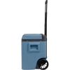 Product image 4 of the product “Igloo IE 42, 12/230 Volt ”